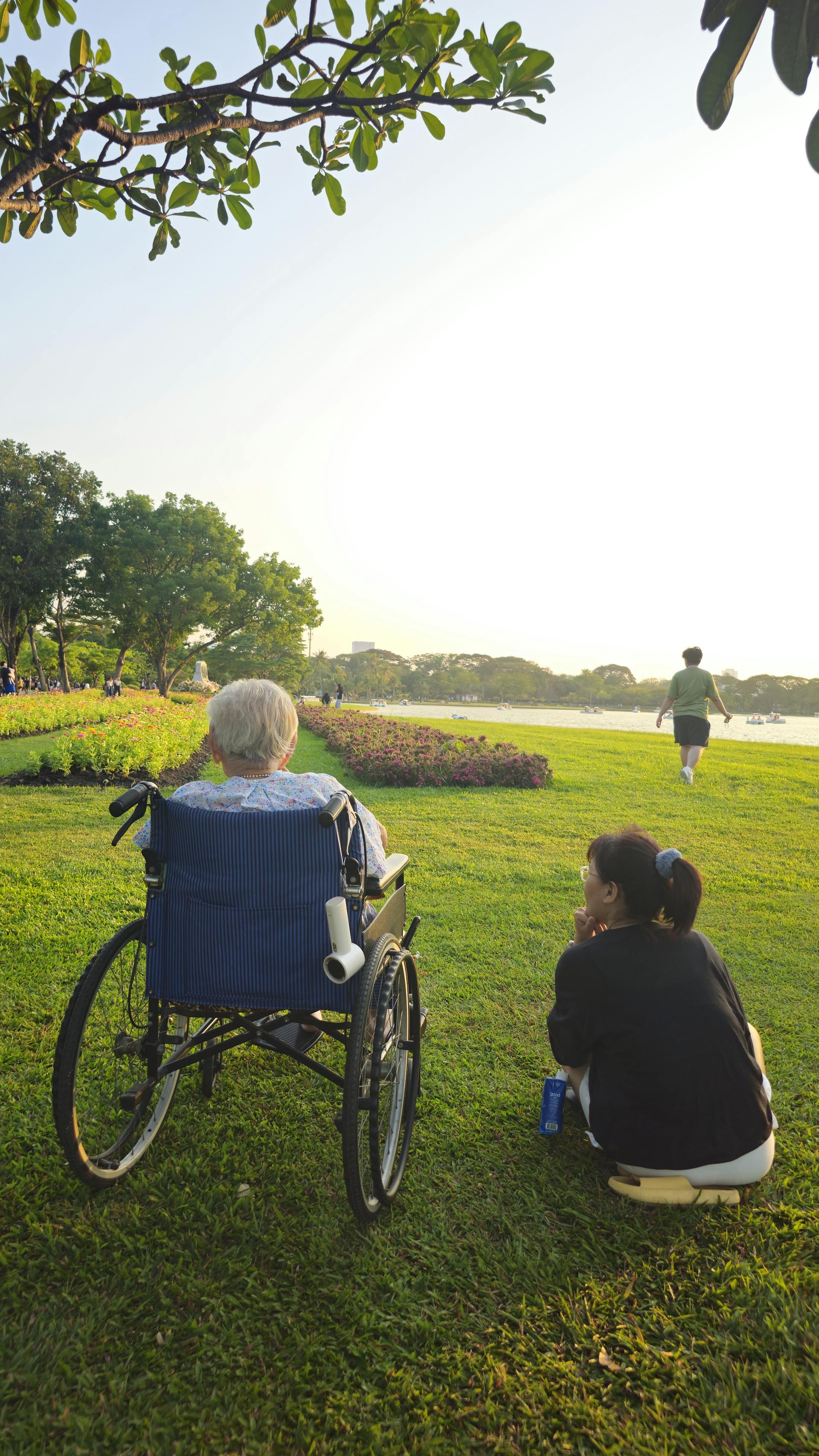 Elderly person and 37092473
